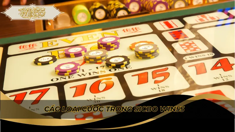 Các loại cược trong Sicbo Win55