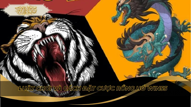 Luật chơi và cách đặt cược rồng hổ Win55
